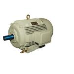 Everest Double Cylinder Car Washer 300 PSI With CG Crompton Motor 3 HP 3 PHASE